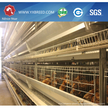 Layer Battery Poultry Cage